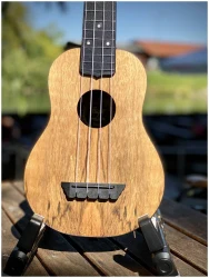 Flight TUS-55 MANGO в Москве c доставкой