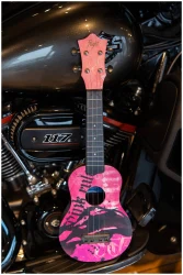 Flight ULTRA S-40 Pink Rules в Москве c доставкой