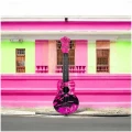 Flight ULTRA S-40 Pink Rules в Москве c доставкой