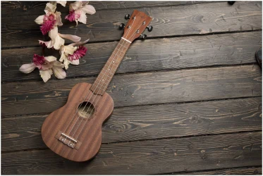 Flight NUS310 в Москве c доставкой