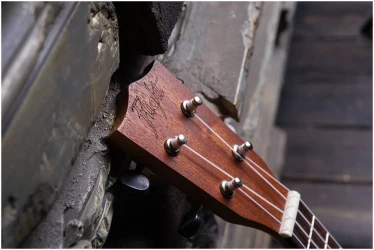 Flight NUS310 в Москве c доставкой