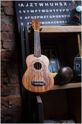 Flight NUS350 DC в Москве c доставкой