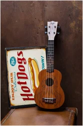 Flight NUS350 DC в Москве c доставкой