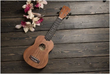 Flight NUS350 DC в Москве c доставкой