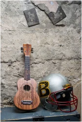 Flight NUS350 DC в Москве c доставкой