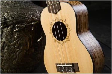 Flight DUS320 SP/ZEB в Москве c доставкой