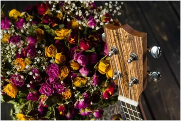 Flight DUS320 SP/ZEB в Москве c доставкой