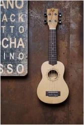 Flight DUS320 EQ SP/ZEB в Москве c доставкой