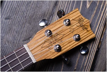 Flight DUS320 EQ SP/ZEB в Москве c доставкой