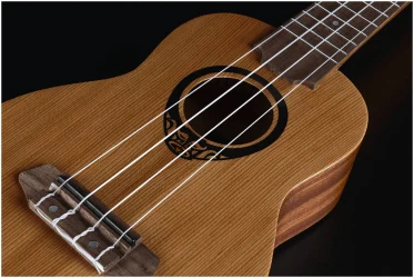 Lag TKU-10S в Москве c доставкой