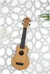 Flight TUC-55 MANGO в Москве c доставкой