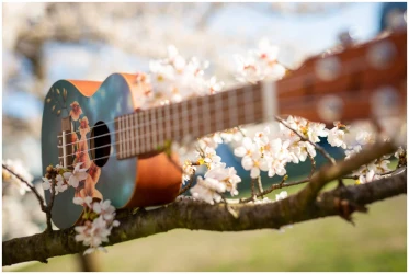 Flight AUC-33 Orchid в Москве c доставкой