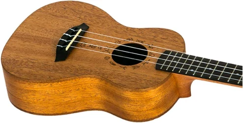 Flight DUC373 MAH в Москве c доставкой