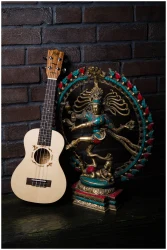 Flight DUC325 SP/ZEB в Москве c доставкой