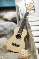 Flight DUC325 SP/ZEB в Москве c доставкой