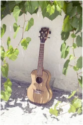 Flight DUC430 DAO в Москве c доставкой