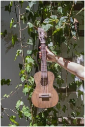 Flight DUC430 DAO в Москве c доставкой