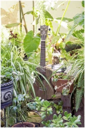 Flight DUC430 DAO в Москве c доставкой