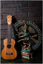 Flight DUC523 MAH в Москве c доставкой