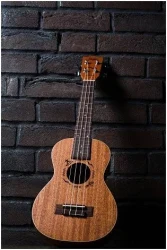 Flight DUC523 MAH в Москве c доставкой