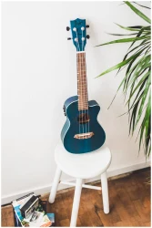 Flight DUC380 CEQ TOPAZ в Москве c доставкой