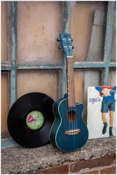 Flight DUC380 CEQ TOPAZ в Москве c доставкой