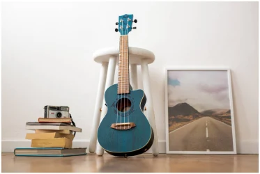 Flight DUC380 CEQ TOPAZ в Москве c доставкой