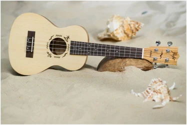 Flight DUC525 SP/ZEB в Москве c доставкой