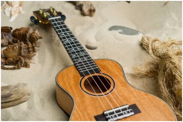 Flight DUC450 MANGO в Москве c доставкой