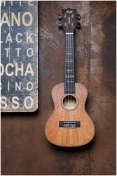 Flight DUC450 MANGO в Москве c доставкой