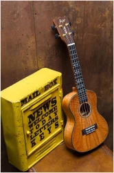 Flight DUC450 MANGO в Москве c доставкой