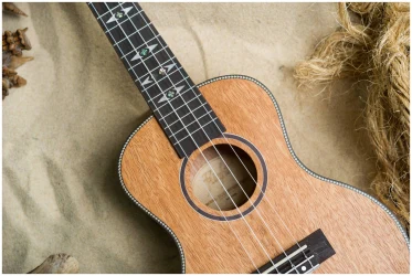 Flight DUC450 MANGO в Москве c доставкой