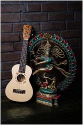 Flight DUC525 EQ SP/ZEB в Москве c доставкой