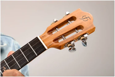 Flight VICTORIA CONCERT EQ-A в Москве c доставкой