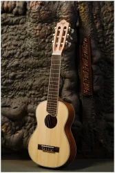 Flight GUT350 SP/SAP в Москве c доставкой