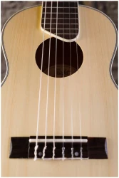 Flight GUT350 SP/SAP в Москве c доставкой