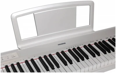 Aramius APS-110 WH в Москве c доставкой