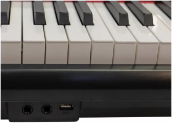 Aramius APH-110 BK в Москве c доставкой