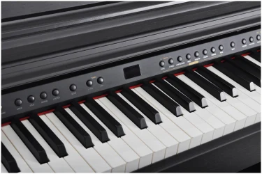 Artesia DP-3 Rosewood Satin в Москве c доставкой