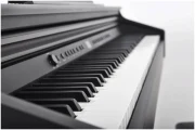 Artesia DP-3 Rosewood Satin в Москве c доставкой