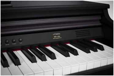 Artesia DP-10E в Москве c доставкой