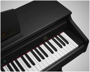 Artesia DP-10E в Москве c доставкой