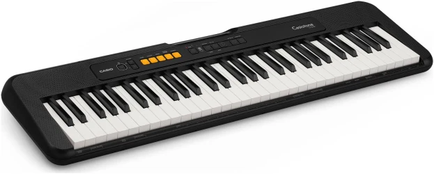 Casio CT-S100 в Москве c доставкой
