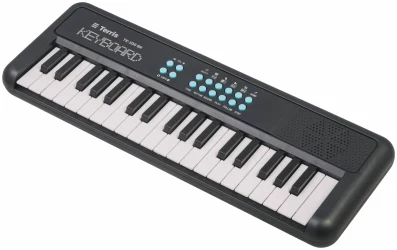 Terris TK-100 BK в Москве c доставкой