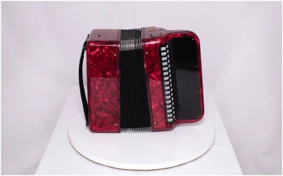 «Тульская Гармонь» БН-42 RD в Москве c доставкой