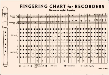 Hohner B9565 в Москве c доставкой