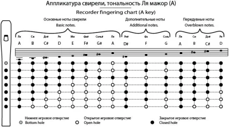 TMA-SB A6 в Москве c доставкой