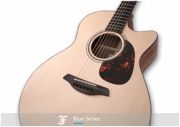 Furch Blue Gc-SW в Москве c доставкой