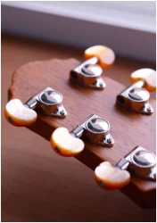 Crafter STG J-18ce в Москве c доставкой