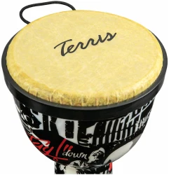 Terris DPC-08 PUNK в Москве c доставкой